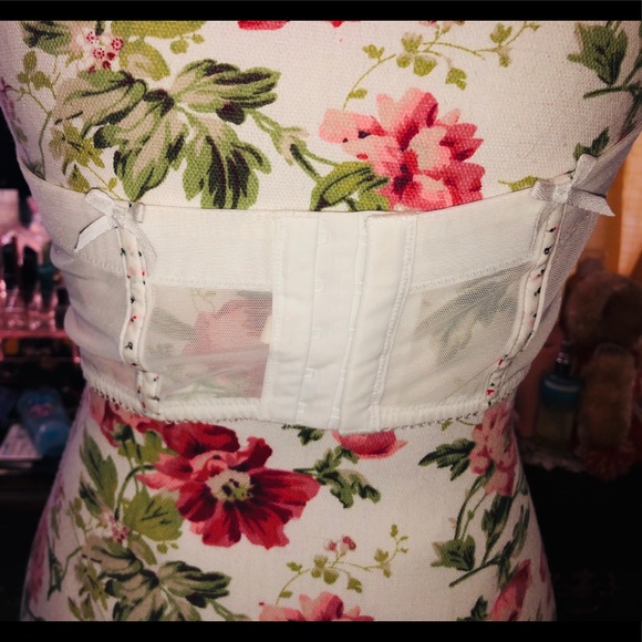 Aerie Bustier - Picture 4 of 6